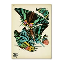 Zaštitni znak likovna umjetnost 'Papillons 7' platno umjetnost by Vintage Apple Collection