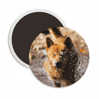 Japanski pas Slatka životinjska fotografija okrugla magnet za hladnjak CERACS Uredba