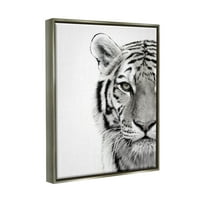 Bijeli tigar izbliza crno-bijela fotografija sjajno sivo uokvireno platno, zidna umjetnost, 16.20