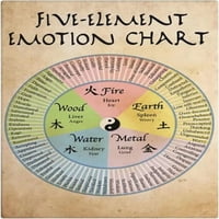 Znanje Metal znakovi pet elementa Element Emotion Chart Socijalna psihologija zidni umjetnički dekor Vodič plak