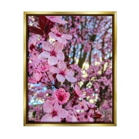 Stupell Industries proljetna ružičasta cvjetova cvjetanja cvjetova fotografija fotografija fotografija metalno