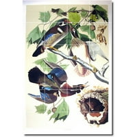 Mural od keramičkih pločica-slika Johna Audubona ptice 45,24 SH 36 V pomoću keramičkih pločica
