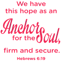 Hebrejima 6: Imamo ovu nadu kao sidro za ¦ naljepnica naljepnice vinilne naljepnice - mala - jarko ružičasta