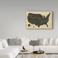 Zaštitni znak likovna umjetnost 'USA V' Canvas Art by Pela Studio