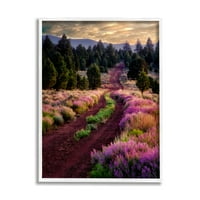 Stupell Industries ružičasti cvjetni livadski krajolik pejzažna fotografija u bijelom okviru umjetnički tisak